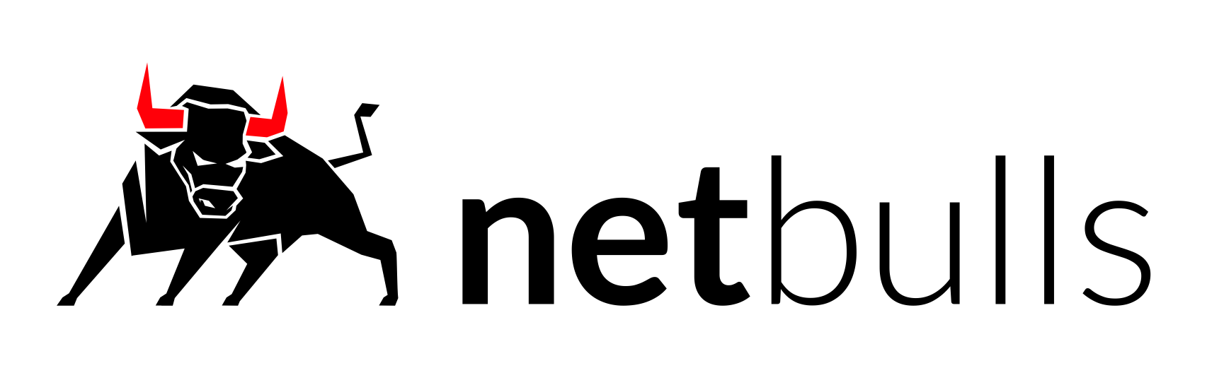 NETBULLS