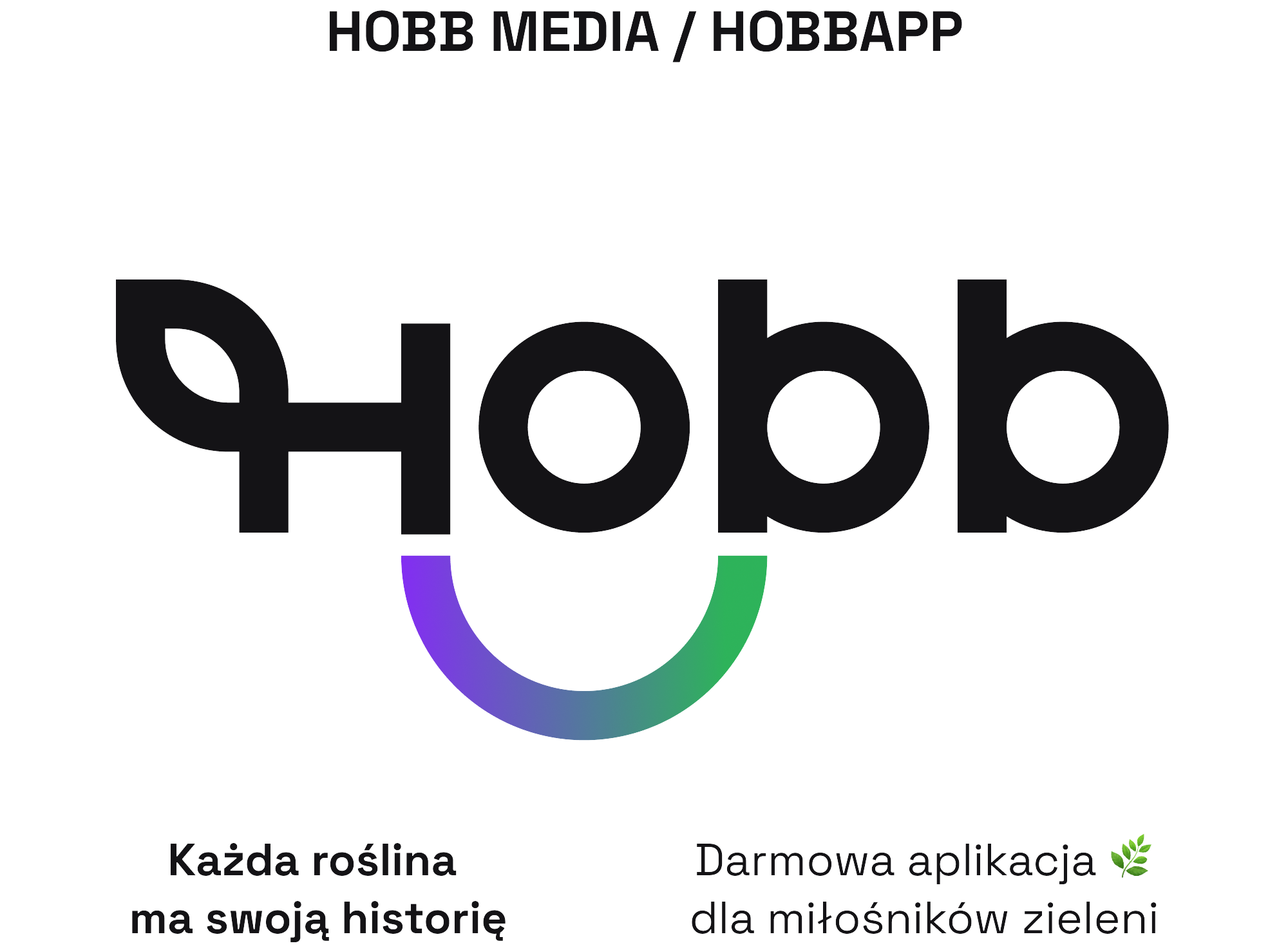 HOBB Media sp. z o.o. – twórcy rozwiązań cyfrowych